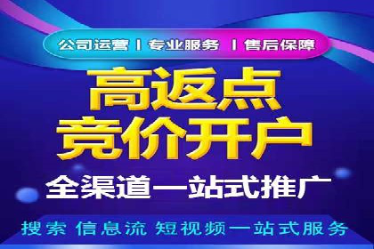 专业SEM运营托管服务案例分析